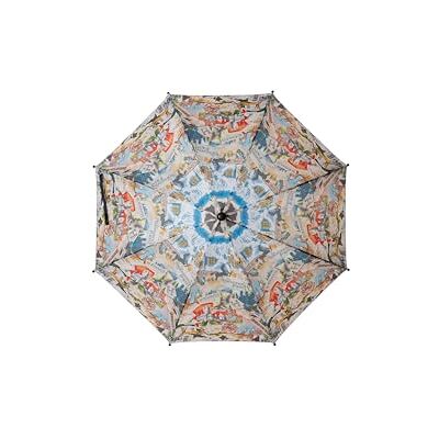 CYPBRANDS CyP Brands Harry Potter paraply, kadett paraply, 54 cm, automatisk, flerfärgad, officiell produkt, Klart, åttkantig och transparent CYPBRANDS CyP Brands Harry Potter paraply, kadett paraply, 54 cm, automatisk, flerfärgad, officiell produkt, Klart, åttkantig och transparent