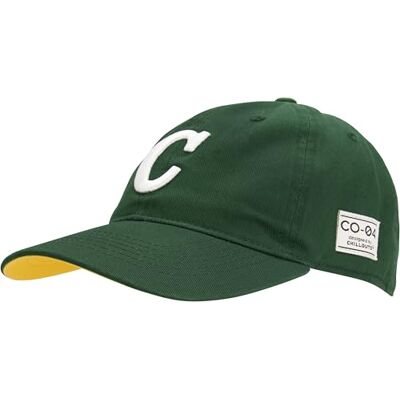 CHILLOUTS Ulloa Hat Baseballkeps, Jaktgrön, En Storlek Unisex Vuxen, jägare grön, one size CHILLOUTS Ulloa Hat Baseballkeps, Jaktgrön, En Storlek Unisex Vuxen, jägare grön, one size