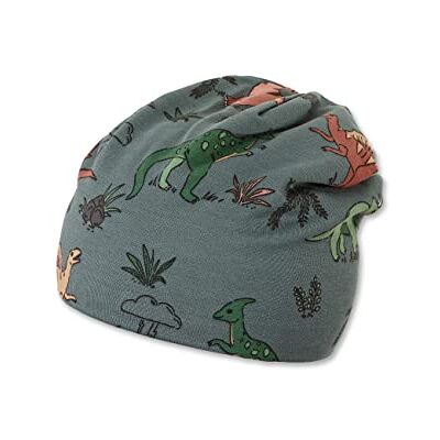 Sterntaler Baby pojkar säckig mössa dino-mössa – barnmössa fodrad med bomullfleece – mörkgrön, 47, Mörkgrön, 47 Sterntaler Baby pojkar säckig mössa dino-mössa – barnmössa fodrad med bomullfleece – mörkgrön, 47, Mörkgrön, 47