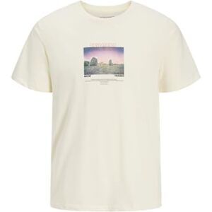 JACK & JONES Jjryu Tee Ss Crew Neck, Antik vit, L JACK & JONES Jjryu Tee Ss Crew Neck, Antik vit, L