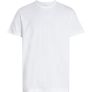 Calvin Män S/S Crew Neck 000NM2748E S/S t-shirt, vit (klassisk vit), L, Vit (klassisk vit), L Calvin Män S/S Crew Neck 000NM2748E S/S t-shirt, vit (klassisk vit), L, Vit (klassisk vit), L
