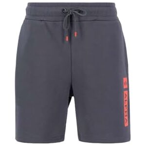 Alpha Industries Alpha Pp Korta Shorts För Män Vintage Grey Alpha Industries Alpha Pp Korta Shorts För Män Vintage Grey