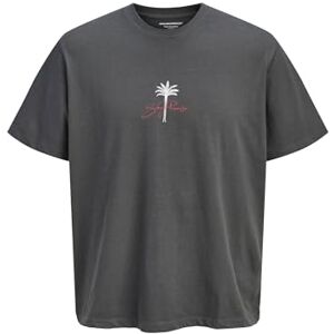 JACK & JONES Jorbradley Goldengate Tee Ss C.N Stmss25, mörk skugga, L JACK & JONES Jorbradley Goldengate Tee Ss C.N Stmss25, mörk skugga, L