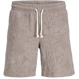 JACK & JONES JPSTKARL JJNAEL shorts CMT, Falk, S JACK & JONES JPSTKARL JJNAEL shorts CMT, Falk, S