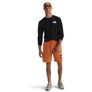THE NORTH FACE NF0A8C1J6D2 M Box NSE Regular Shorts Herr Iron Brons-TNF Svart Storlek XS THE NORTH FACE NF0A8C1J6D2 M Box NSE Regular Shorts Herr Iron Brons-TNF Svart Storlek XS
