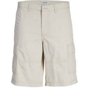 JACK & JONES JPSTCOLE JJCAMPAIGN shorts, Moonbeam, S JACK & JONES JPSTCOLE JJCAMPAIGN shorts, Moonbeam, S