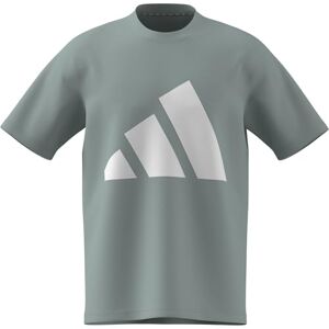 adidas Mezczyzni ESSENTIALS BIG LOGO SINGLE JERSEY TEE, Wonder Sage/white, XL adidas Mezczyzni ESSENTIALS BIG LOGO SINGLE JERSEY TEE, Wonder Sage/white, XL