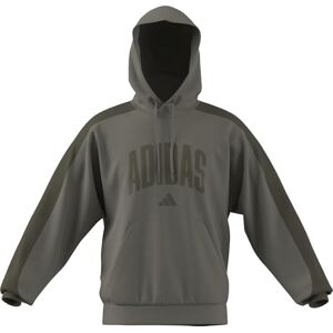 adidas Mezczyzni COLLEGIATE FLEECE HOODIE, silver pebble/olive strata, L Extra Tall adidas Mezczyzni COLLEGIATE FLEECE HOODIE, silver pebble/olive strata, L Extra Tall