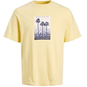 JACK & JONES herr Jorsplash foto t-shirt Ss crew neck t-shirt, Fransk vanilj, L JACK & JONES herr Jorsplash foto t-shirt Ss crew neck t-shirt, Fransk vanilj, L