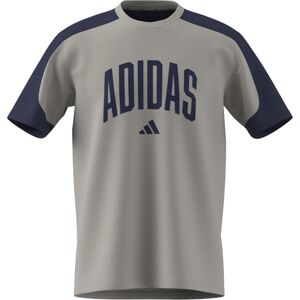 adidas Mezczyzni COLLEGIATE T-SHIRT, wonder alumina/dark blue, S adidas Mezczyzni COLLEGIATE T-SHIRT, wonder alumina/dark blue, S