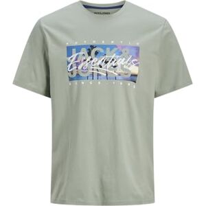 JACK & JONES Jjcolton fototryck Tee Ss Crew Neck, Isberggrön, S JACK & JONES Jjcolton fototryck Tee Ss Crew Neck, Isberggrön, S