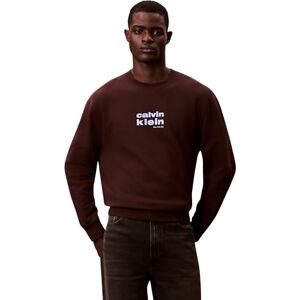 Calvin Herr LS 350FLEECE RETRO GRAPHIC CREWN LV04LE250G, BRUNN, S, Brun (rikbrun), S Calvin Herr LS 350FLEECE RETRO GRAPHIC CREWN LV04LE250G, BRUNN, S, Brun (rikbrun), S