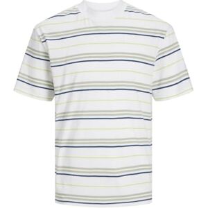 JACK & JONES JACK&JONES JCOLOTUS Stripe Tee SS Crew Neck, Vit/ränder: desert/blå/lime, L JACK & JONES JACK&JONES JCOLOTUS Stripe Tee SS Crew Neck, Vit/ränder: desert/blå/lime, L