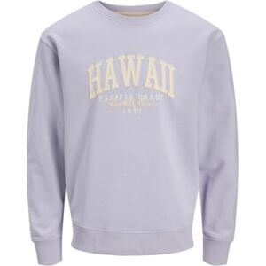 JACK & JONES Jjdetroit Sweat Crew Neck, languid lavendel, M JACK & JONES Jjdetroit Sweat Crew Neck, languid lavendel, M