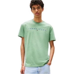 Tommy Jeans herr TJM REG linjär logotyp TEE EXT DM0DM20744, grön, S, Grön (Molnig Jade Multi), S Tommy Jeans herr TJM REG linjär logotyp TEE EXT DM0DM20744, grön, S, Grön (Molnig Jade Multi), S