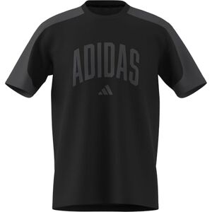adidas Mezczyzni COLLEGIATE T-SHIRT, black/grey six, M adidas Mezczyzni COLLEGIATE T-SHIRT, black/grey six, M