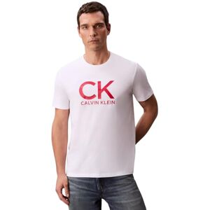 jeans herr SS 30S EU CK Calvin grafisk TEE LV04RD819G grafiska t-shirts, vit (lysande vit), L, Vit (lysande vit), L jeans herr SS 30S EU CK Calvin grafisk TEE LV04RD819G grafiska t-shirts, vit (lysande vit), L, Vit (lysande vit), L