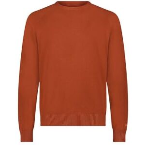 Lee Clean Raglan tröja, tröja för män, Söt lönn, XXL Lee Clean Raglan tröja, tröja för män, Söt lönn, XXL