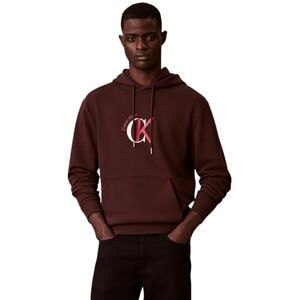 Calvin herr LS EU 350TERRY GRAPHIC HOODIE LV04RE255G tröjor, BRUN (rikbrun), S, Brun (rikbrun), S Calvin herr LS EU 350TERRY GRAPHIC HOODIE LV04RE255G tröjor, BRUN (rikbrun), S, Brun (rikbrun), S