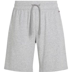 Tommy Hilfiger herr träningsshorts UM0UM03364, shorts, grå, S, Grå (ljusgrå ljung), S Tommy Hilfiger herr träningsshorts UM0UM03364, shorts, grå, S, Grå (ljusgrå ljung), S
