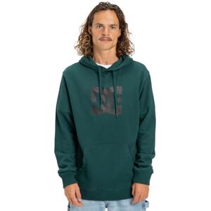 DC Shoes Dcshoes DC Star PH tröja grön L DC Shoes Dcshoes DC Star PH tröja grön L