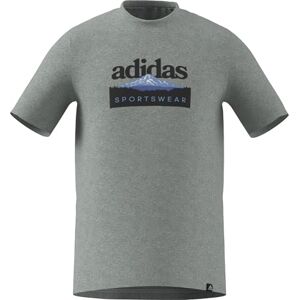 adidas Mezczyzni Sportsman Mountain Graphic T-Shirt, medium grey heather, XXL adidas Mezczyzni Sportsman Mountain Graphic T-Shirt, medium grey heather, XXL