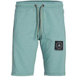 JACK & JONES PLUS Herr JPSTFILO Sweat Shorts FB PLS Sweatshorts, Trellis, 46, Spellis, 46 JACK & JONES PLUS Herr JPSTFILO Sweat Shorts FB PLS Sweatshorts, Trellis, 46, Spellis, 46