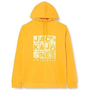 JACK & JONES Jorchance Sweat Hood FST huvtröja för män, iseland poppy, L JACK & JONES Jorchance Sweat Hood FST huvtröja för män, iseland poppy, L