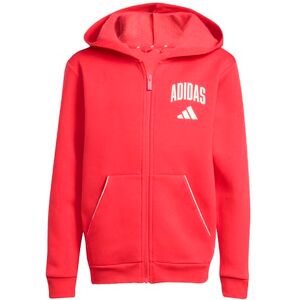 adidas Uniseks dzieci SEASONALS COLLEGIATE TYPOGRAPHY HOODY, pure ruby/off white, 9-10 Years adidas Uniseks dzieci SEASONALS COLLEGIATE TYPOGRAPHY HOODY, pure ruby/off white, 9-10 Years