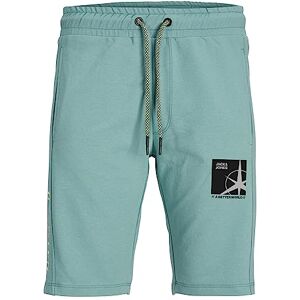 JACK & JONES Mäns JPSTFILO Sweat Shorts FB SN Sweatshorts, Trellis, L, Spellis, L JACK & JONES Mäns JPSTFILO Sweat Shorts FB SN Sweatshorts, Trellis, L, Spellis, L