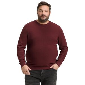 TOM TAILOR Plussize herrtröja, 39101 – Bordeaux melerad, 3XL plus size TOM TAILOR Plussize herrtröja, 39101 – Bordeaux melerad, 3XL plus size