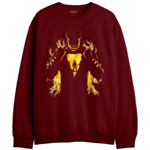 DC Comics Sweatshirt herr, Vinröd, XXL DC Comics Sweatshirt herr, Vinröd, XXL