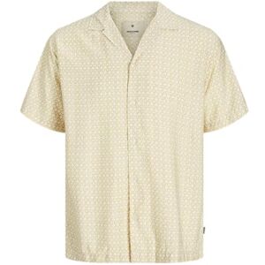 JACK & JONES Jprblulincoln Print Resort S/S Shirt, Månsten, L JACK & JONES Jprblulincoln Print Resort S/S Shirt, Månsten, L