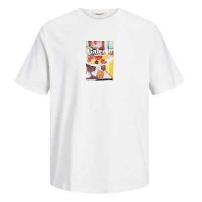 JACK & JONES JACK&JONES JORNOTO Art Tee SS Crew Neck, Ljus vit, L JACK & JONES JACK&JONES JORNOTO Art Tee SS Crew Neck, Ljus vit, L