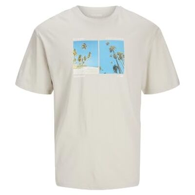 JACK & JONES Jjporto Tee Ss Crew Neck, Moonbeam, S JACK & JONES Jjporto Tee Ss Crew Neck, Moonbeam, S