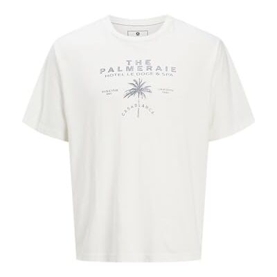 JACK & JONES Jprbluphillip Ss Tee, Molndansare, M JACK & JONES Jprbluphillip Ss Tee, Molndansare, M