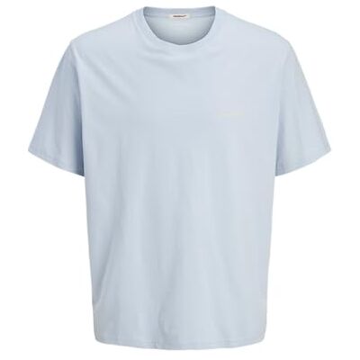 JACK & JONES herr Joracapulco foto back tee Ss crew neck, Skyway, S JACK & JONES herr Joracapulco foto back tee Ss crew neck, Skyway, S