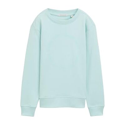 TOM TAILOR Pojkar 1046030 tröja, 34436 – Light Pastel Turquoise, 176 EU, 34436 Lätt pastell turkos, 176 TOM TAILOR Pojkar 1046030 tröja, 34436 – Light Pastel Turquoise, 176 EU, 34436 Lätt pastell turkos, 176