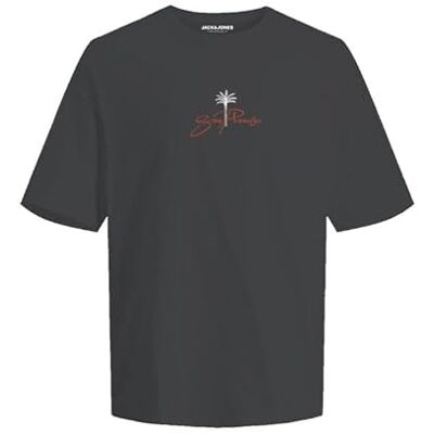 JACK & JONES Jorbradley Goldengate Tee Ss C.N Stmss25, svart, L JACK & JONES Jorbradley Goldengate Tee Ss C.N Stmss25, svart, L