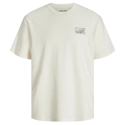 JACK & JONES Jordark Tee Ss Crew Neck Ft Styd Aw24, Häger, S JACK & JONES Jordark Tee Ss Crew Neck Ft Styd Aw24, Häger, S