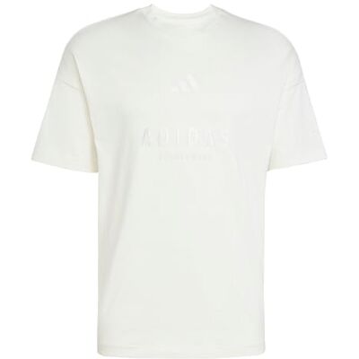adidas Mezczyzni ALL SZN Embroidered Graphics T-Shirt, off white, M adidas Mezczyzni ALL SZN Embroidered Graphics T-Shirt, off white, M