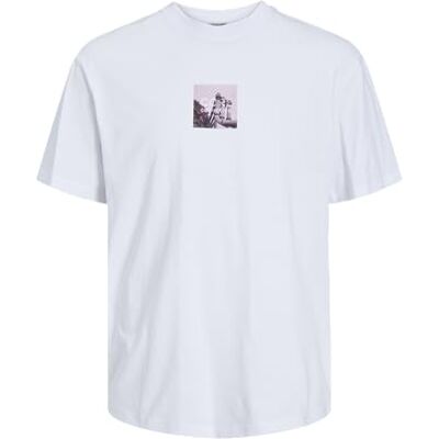 JACK & JONES JCOEDITION Berlin Tee SS Crew Neck, Mandel milk/tryck: pipes, XS JACK & JONES JCOEDITION Berlin Tee SS Crew Neck, Mandel milk/tryck: pipes, XS