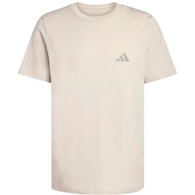 adidas herr Terrex Mountain Graphic Shirt, wonder alumina, M adidas herr Terrex Mountain Graphic Shirt, wonder alumina, M