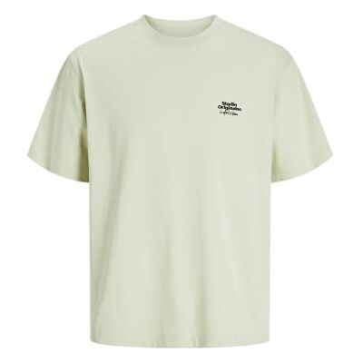 JACK & JONES Jorparos Abstract Tee Ss Crew Neck, Celadon Tint, XL JACK & JONES Jorparos Abstract Tee Ss Crew Neck, Celadon Tint, XL