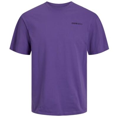 JACK & JONES JCOEDITION Berlin Tee SS Crew Neck, Djup lavendel, S JACK & JONES JCOEDITION Berlin Tee SS Crew Neck, Djup lavendel, S