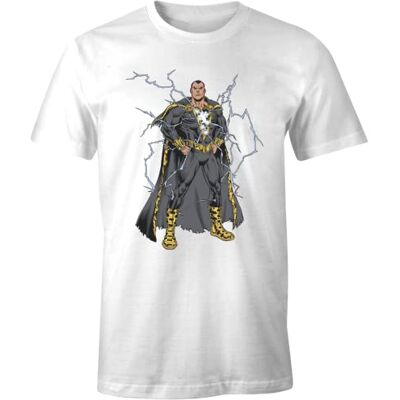 DC Comics MEBLADOTS004 T-shirt, vit, L herr, Vitt och blått, L DC Comics MEBLADOTS004 T-shirt, vit, L herr, Vitt och blått, L