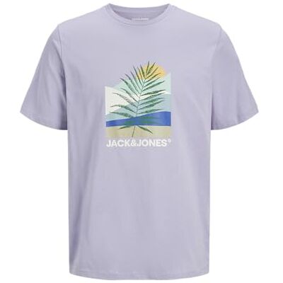 JACK & JONES Jjbarbados Tee Ss Crew Neck, languid lavendel, M JACK & JONES Jjbarbados Tee Ss Crew Neck, languid lavendel, M