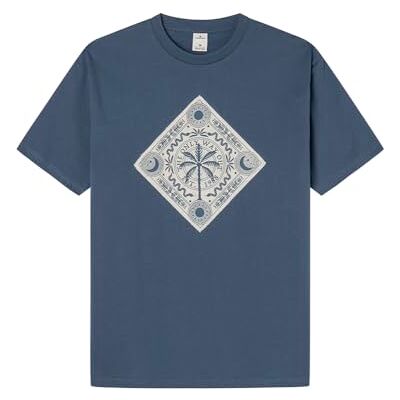 Springfield T-shirt för män, Mellanblå, XL Springfield T-shirt för män, Mellanblå, XL