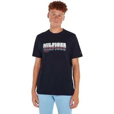 Tommy Hilfiger Herr Blekning Hilfiger Tee S/S T-shirts, Blå, S, Öken himmel, S Tommy Hilfiger Herr Blekning Hilfiger Tee S/S T-shirts, Blå, S, Öken himmel, S