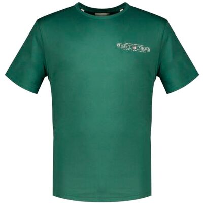 GANT Tryckt Graphic SS T-shirt, Trägrön, S GANT Tryckt Graphic SS T-shirt, Trägrön, S